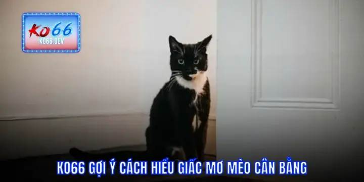 Nằm Mơ Thấy Mèo Vào Nhà: Phân Tích Toàn Diện Từ Tâm Lý Đến Văn Hóa