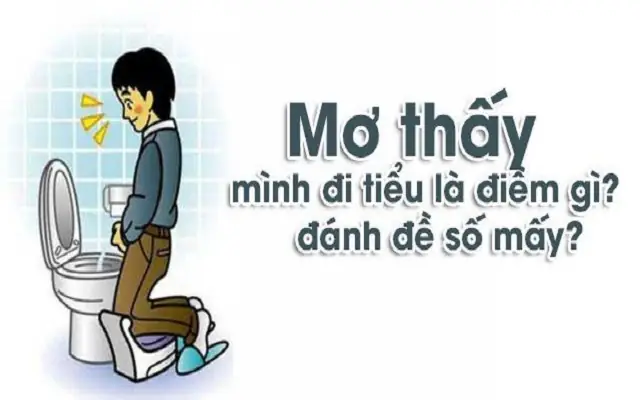 Nằm Mơ Thấy Đi Tiểu Là Điềm Gì? Giải Mã Ý Nghĩa Từ Khoa Học Đến Tâm Linh