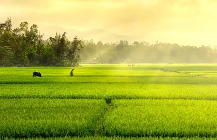 Nằm Mơ Thấy Mình Lên Đồng: Giải Mã Ý Nghĩa Từ Tâm Linh Đến Thực Tế