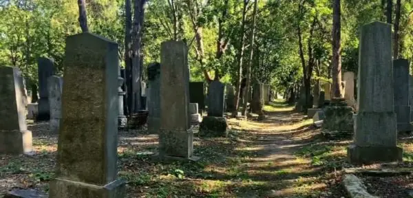 Nằm Mơ Thấy Mộ Mả: Giải Mã Ý Nghĩa Tâm Linh Và Thực Tế