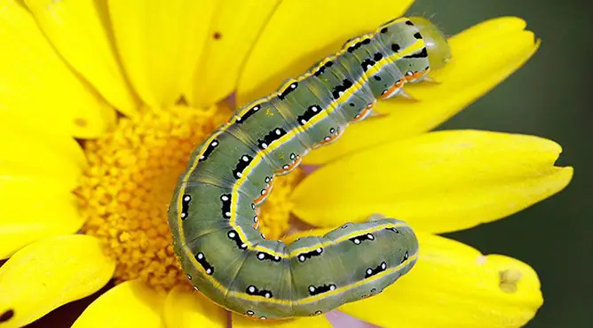 Nằm Mơ Thấy Mưa Gió Lớn: Giải Mã Ý Nghĩa Tâm Lý Và Báo Hiệu Trong Đời Sống