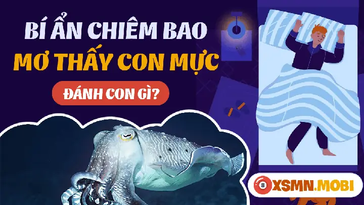 Nằm Mơ Thấy Mực Khô: Ý Nghĩa, Điềm Báo Và Lời Khuyên Chuyên Sâu