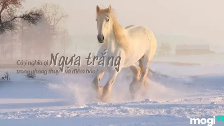 Nằm Mơ Thấy Ngựa Trắng: Ý Nghĩa Chi Tiết Và Phân Tích Đa Chiều