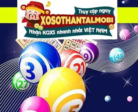 Giấc Mơ Thấy Nhiều Con Sò: Ý Nghĩa Chi Tiết Và Điềm Báo Theo Từng Tình Huống