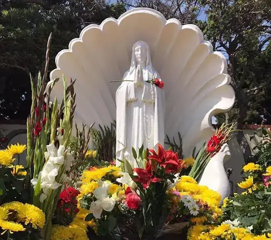 Giấc Mơ Thấy Nhiều Con Sò: Ý Nghĩa Chi Tiết Và Điềm Báo Theo Từng Tình Huống