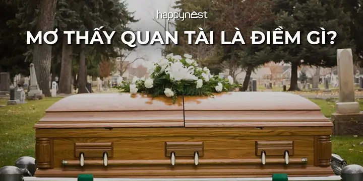 Nằm Mơ Thấy Quan Tài: Ý Nghĩa Toàn Diện Và Lời Khuyên Thực Tế