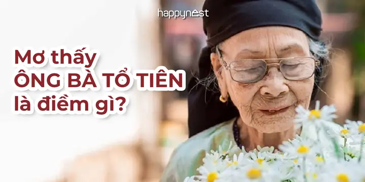 Nằm Mơ Thấy Ông Bà Ngoại: Giải Mã Ý Nghĩa Từ Tâm Linh Đến Thực Tế