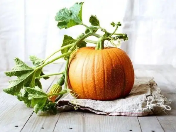 Giấc Mơ Thấy Quả Bí Đỏ: Ý Nghĩa Và Điềm Báo Theo Văn Hóa Việt