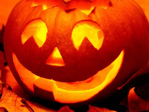 Giấc Mơ Thấy Quả Bí Đỏ: Ý Nghĩa Và Điềm Báo Theo Văn Hóa Việt