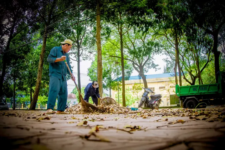 Nằm Mơ Thấy Quét Lá Cây: Ý Nghĩa Tâm Linh Và Thông Điệp Sâu Sắc Tiềm Thức Gửi Gắm