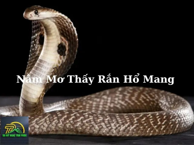 Nằm Mơ Thấy Rắn Hổ Mang: Ý Nghĩa Chi Tiết Và Điềm Báo Từ A-z