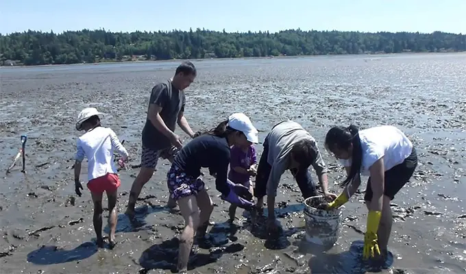 Giấc Mơ Thấy Sò Huyết: Ý Nghĩa Sâu Sắc Và Lời Khuyên Thực Tế