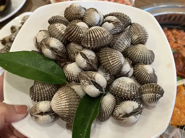 Giấc Mơ Thấy Sò Huyết: Ý Nghĩa Sâu Sắc Và Lời Khuyên Thực Tế