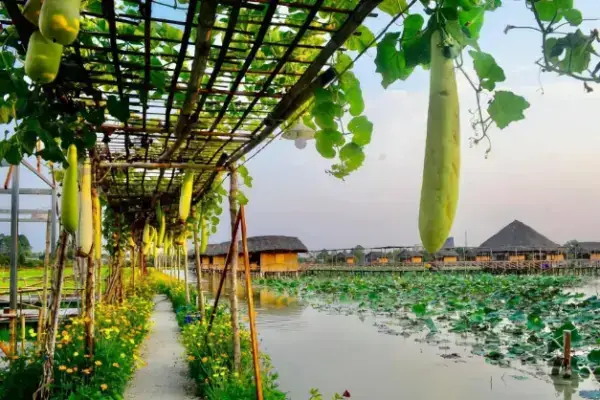 Giấc Mơ Thấy Xuồng Ba Lá: Giải Mã Chi Tiết & Ứng Dụng Thực Tế