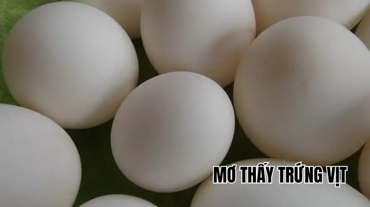 Giấc Mơ Đám Cưới: Giải Mã Ý Nghĩa Tâm Lý Và Điềm Báo