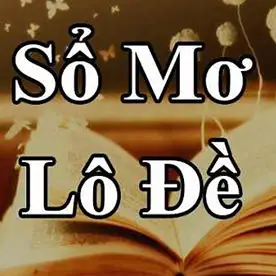 Sổ Mơ Lô De Tổng Hợp 2026: Đánh Giá Chi Tiết 5 Loại Phổ Biến Nhất