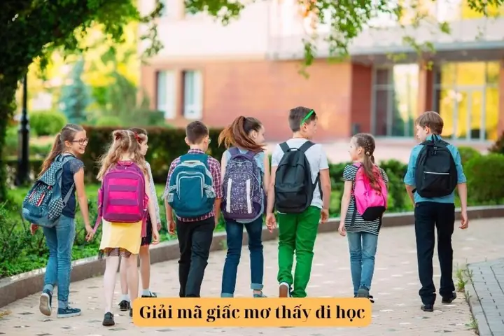 Giấc Mơ Đi Học: Ý Nghĩa Tâm Lý, Tâm Linh Và Cách Ứng Xử Thực Tế