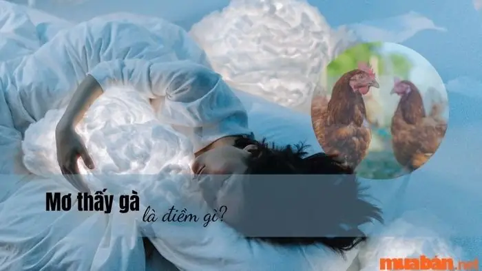 Giấc Mơ Thấy Gà: Giải Mã Ý Nghĩa Tâm Linh Và Con Số May Mắn