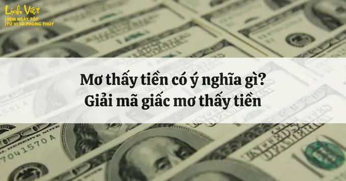 Mơ Thấy Hoa Đồng Tiền: Ý Nghĩa, Điềm Báo Và Số May Mắn