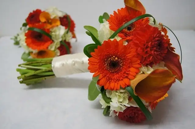 Mơ Thấy Hoa Đồng Tiền: Ý Nghĩa, Điềm Báo Và Số May Mắn