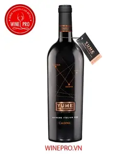 Ý Nghĩa Giấc Mơ Yume Là Gì?